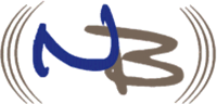 Northern Broadband Logo