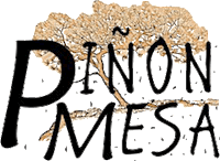 Pinon Mesa Networks Logo